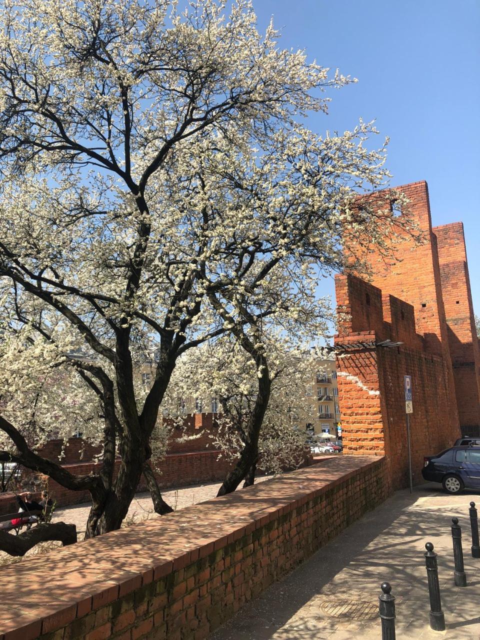 Designers Apartment In The Old Town وارسو المظهر الخارجي الصورة